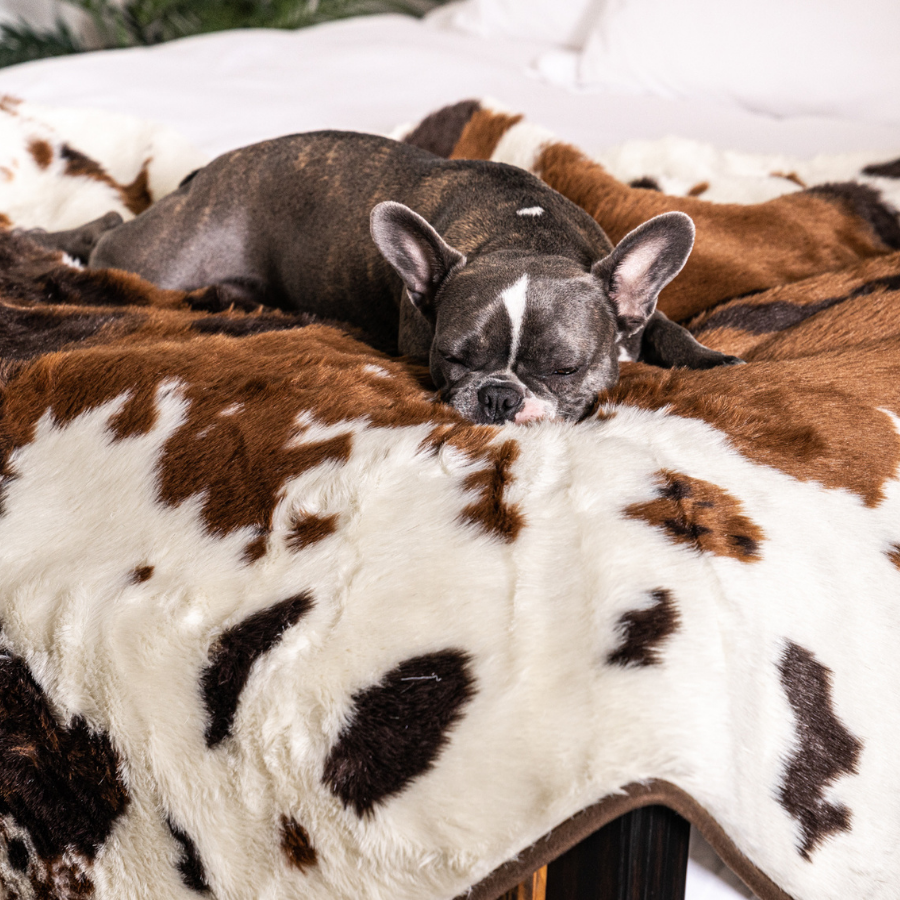 PupProtector™ Waterproof Throw Blanket - Brown Faux Cowhide Dog Blanket Paw.com