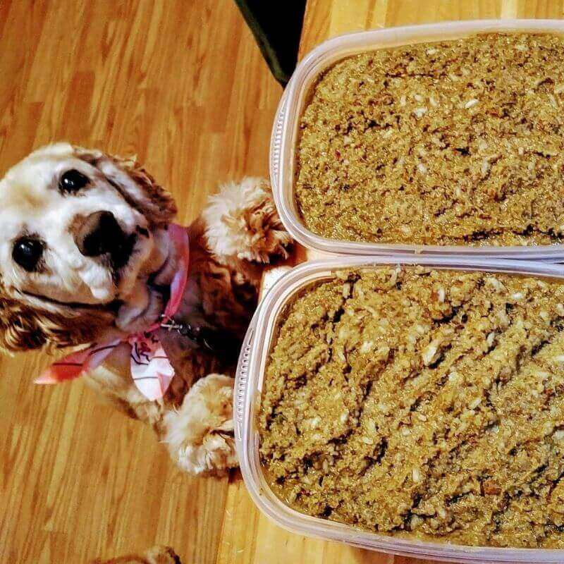 The Original Crockpet Diet™ Ebook and Recipes DIY Holistic Health Course Dr. Ruth Roberts