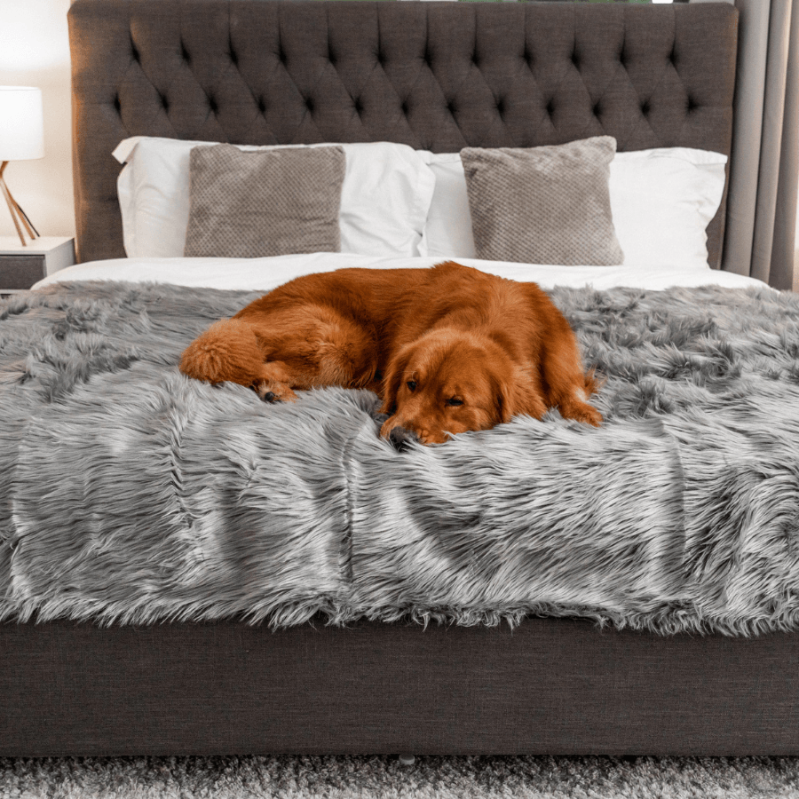 PupProtector™ Waterproof Throw Blanket - Charcoal Grey Dog Blanket Paw.com