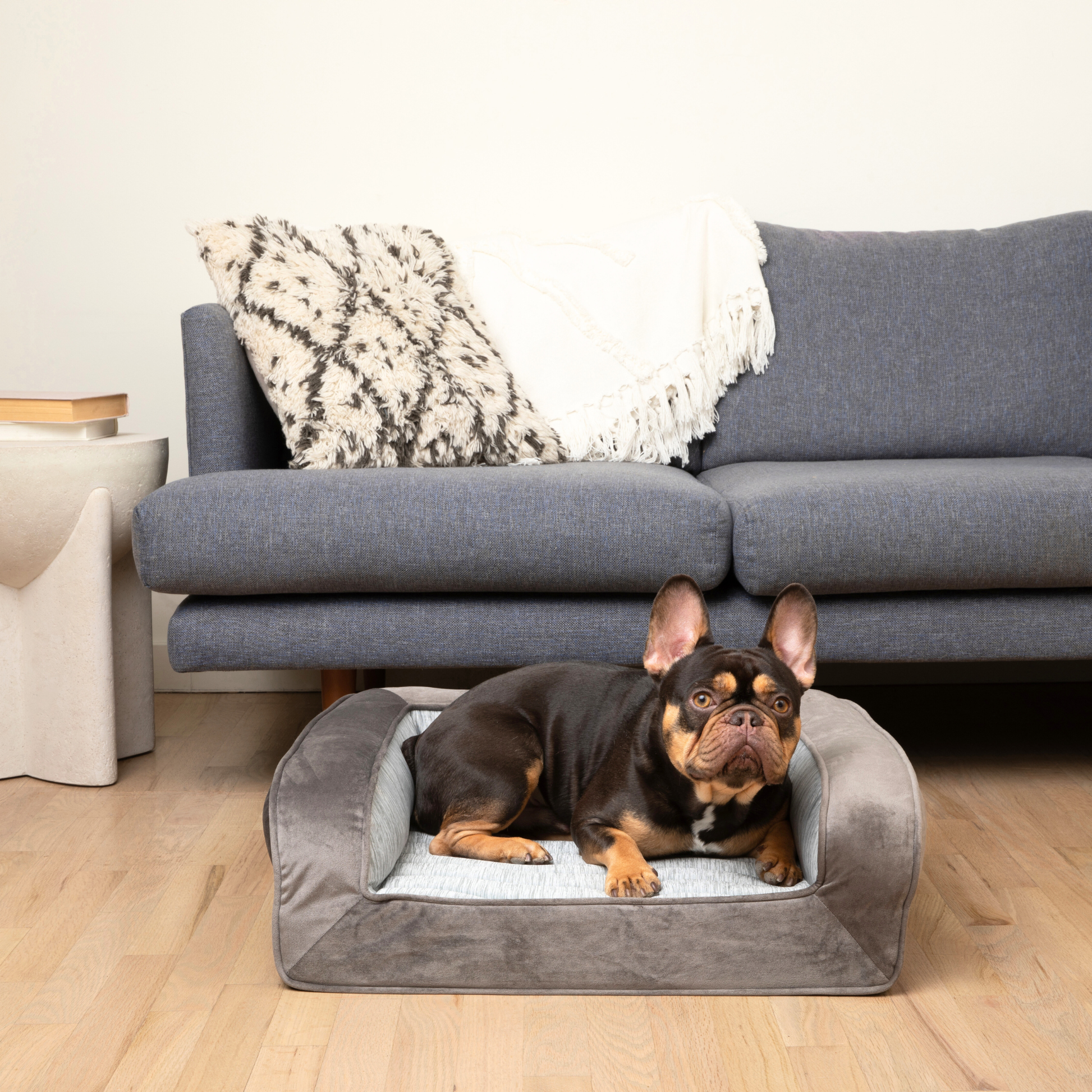 PupChill™ Cooling Bolster Dog Bed Paw
