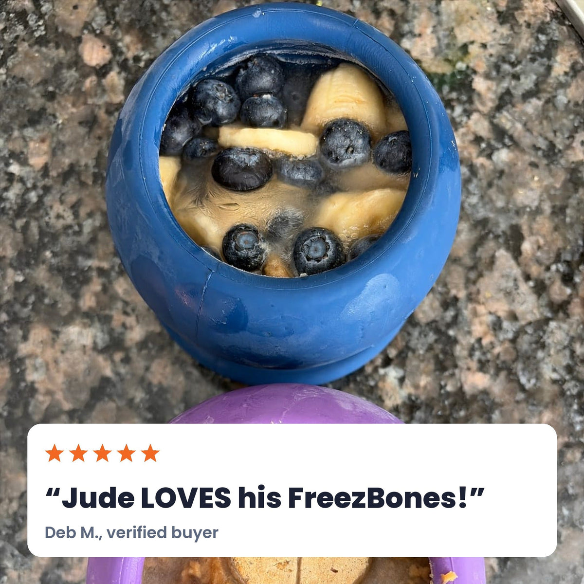 Freezball Dog Chew Toy- Durable Fillable Dog Chew Bone Freezbone