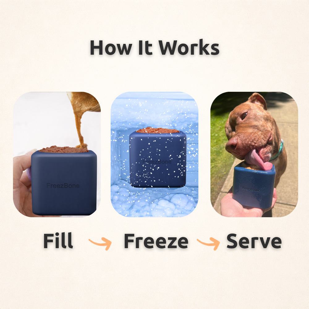 Freezbox - Super Tough Treat Toy Freezbone