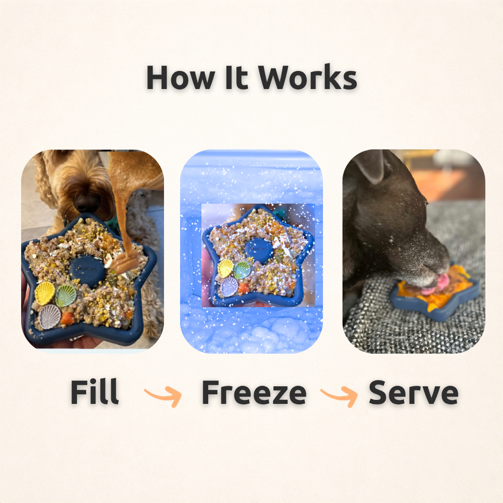 FreezStar - Long-Lasting Star Chew Freezbone