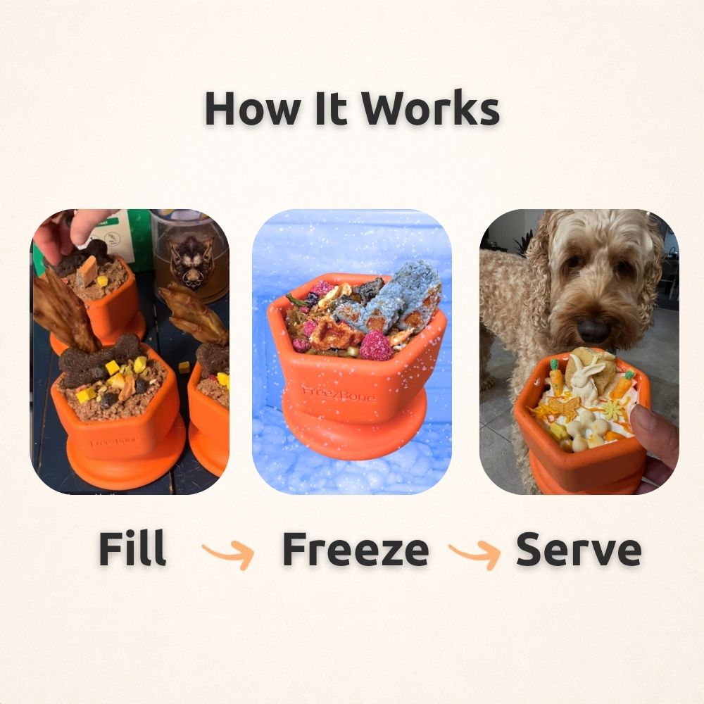 FreezCup - Long-Lasting Chew Fun Freezbone