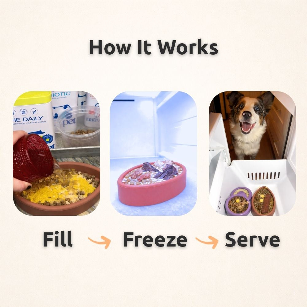FreezFootball - Tough Enrichment Football Toy Freezbone
