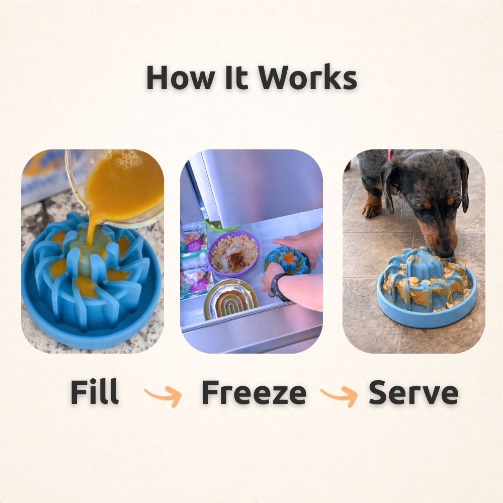 FreezLava Heavy-Duty Enrichment Chew Freezbone