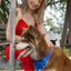 Patriotic Dog Bandana bandana Aria the Fox