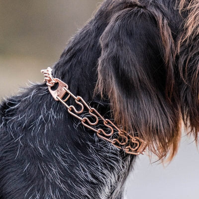 Herm Sprenger - ULTRA-PLUS Training Collar with Center-Plate and Assembly Chain - Short Version – Curogan Collars, Prong/Pinch Dog Collars Dogline