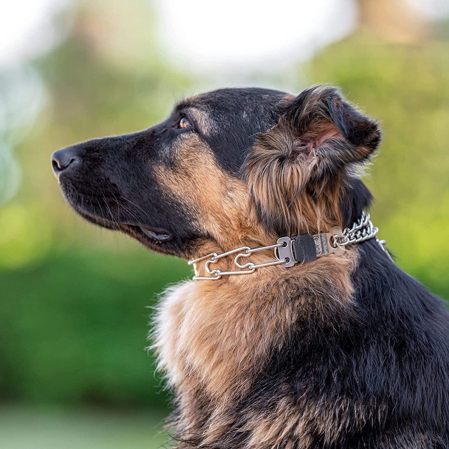 Herm Sprenger - ULTRA-PLUS Training Collar with Center-Plate, Assembly Chain & ClicLock – Comfort Version – Stainless Steel Collars, Prong/Pinch Dog Collars Dogline