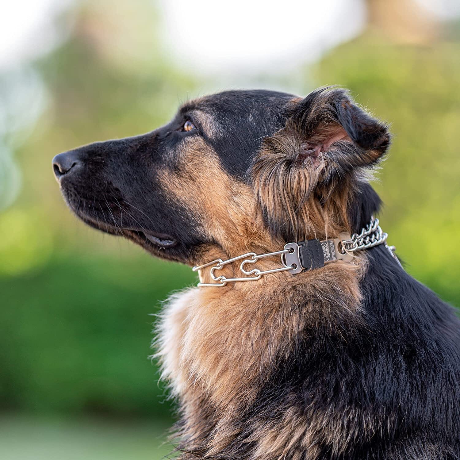 Herm Sprenger - ULTRA-PLUS Training Collar with Center-Plate, Assembly Chain & ClicLock – Comfort Version – Stainless Steel Collars, Prong/Pinch Dog Collars Dogline