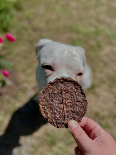 Angus Beef Patty Quarters (GFF & Free Range) Naked Beasts
