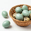 Celadon Coturnix Hatching Eggs Buddys Hatchery