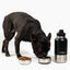 Pup Pak Dog Water Bottle with Detachable Bowls Pup Pak