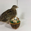 Fertile Quail Eggs – Choose Your Variety Fertile Quail Eggs Buddys Hatchery