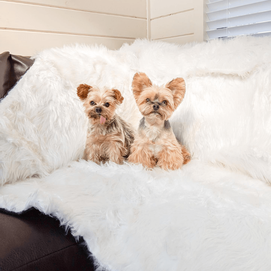 PupProtector™ Waterproof Throw Blanket - Polar White Dog Blanket Paw.com