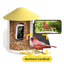 Birdfy Feeder with Solar Panel - Solar-Powered Smart Bird Feeder with Camera Birdfy Feeder 1 Birdfy