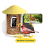Birdfy Feeder with Solar Panel - Solar-Powered Smart Bird Feeder with Camera Bundle Birdfy