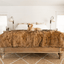 PupProtector™ Waterproof Throw Blanket - Sable Tan Dog Blanket Paw