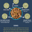 PREMIUM RAW FREEZE DRIED DOG FOOD BEEF freeze dried dog food Alpha Pak