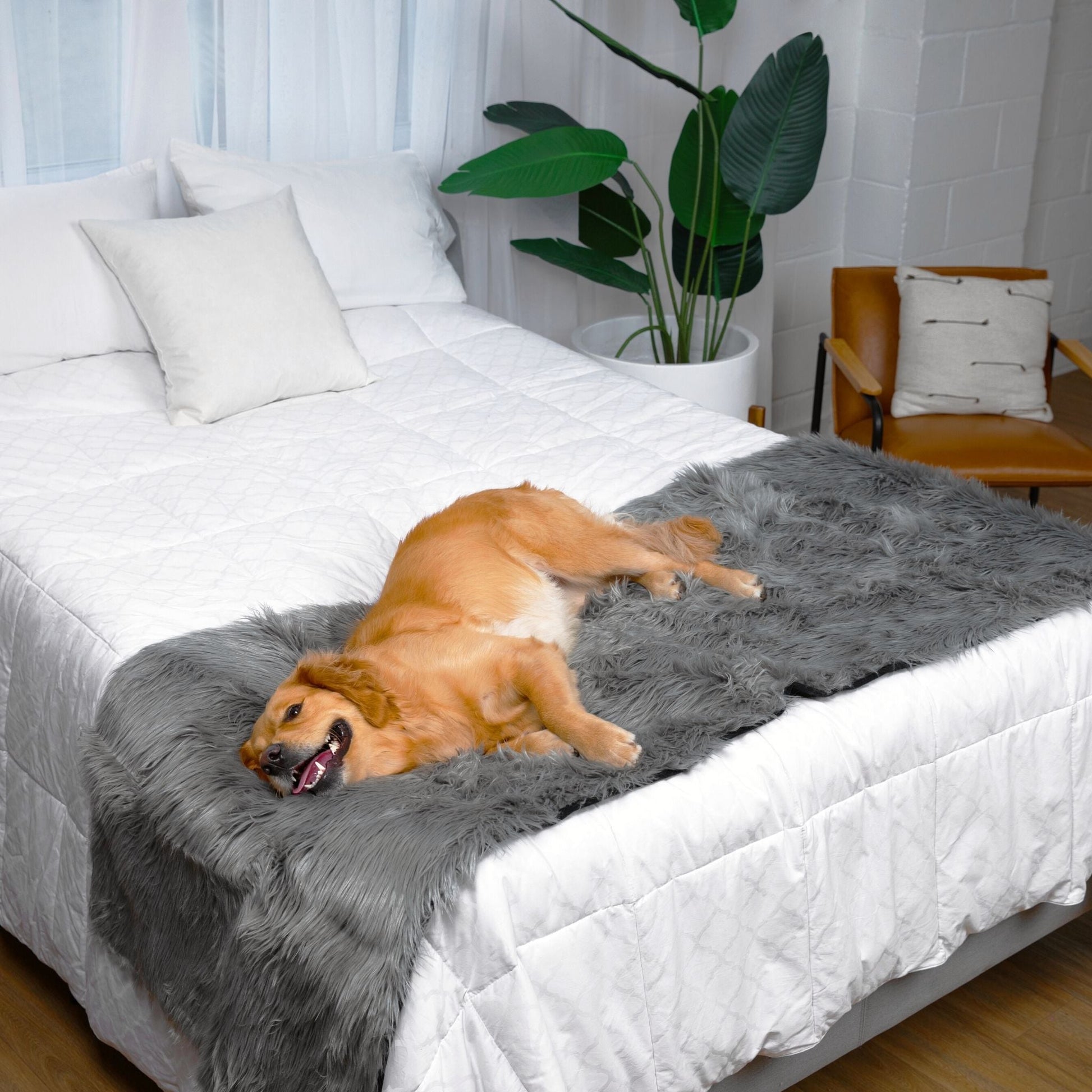 PupProtector™ Waterproof Bed Runner - Charcoal Grey Dog Blanket Paw.com