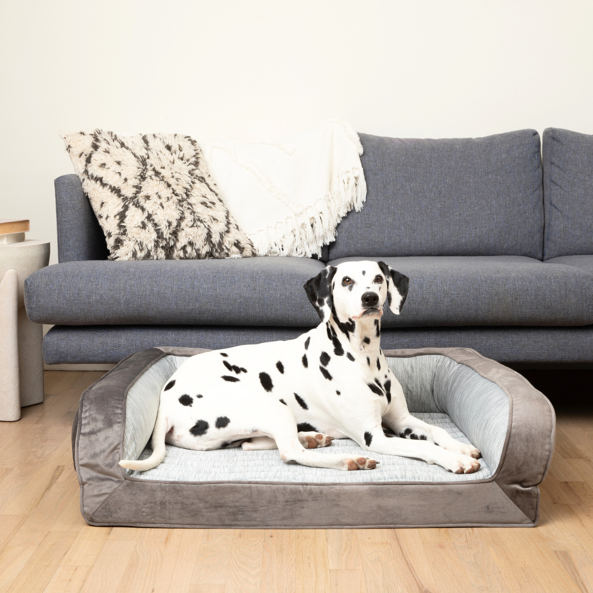 PupChill™ Cooling Bolster Dog Bed Large (35" L x 27" W) Paw