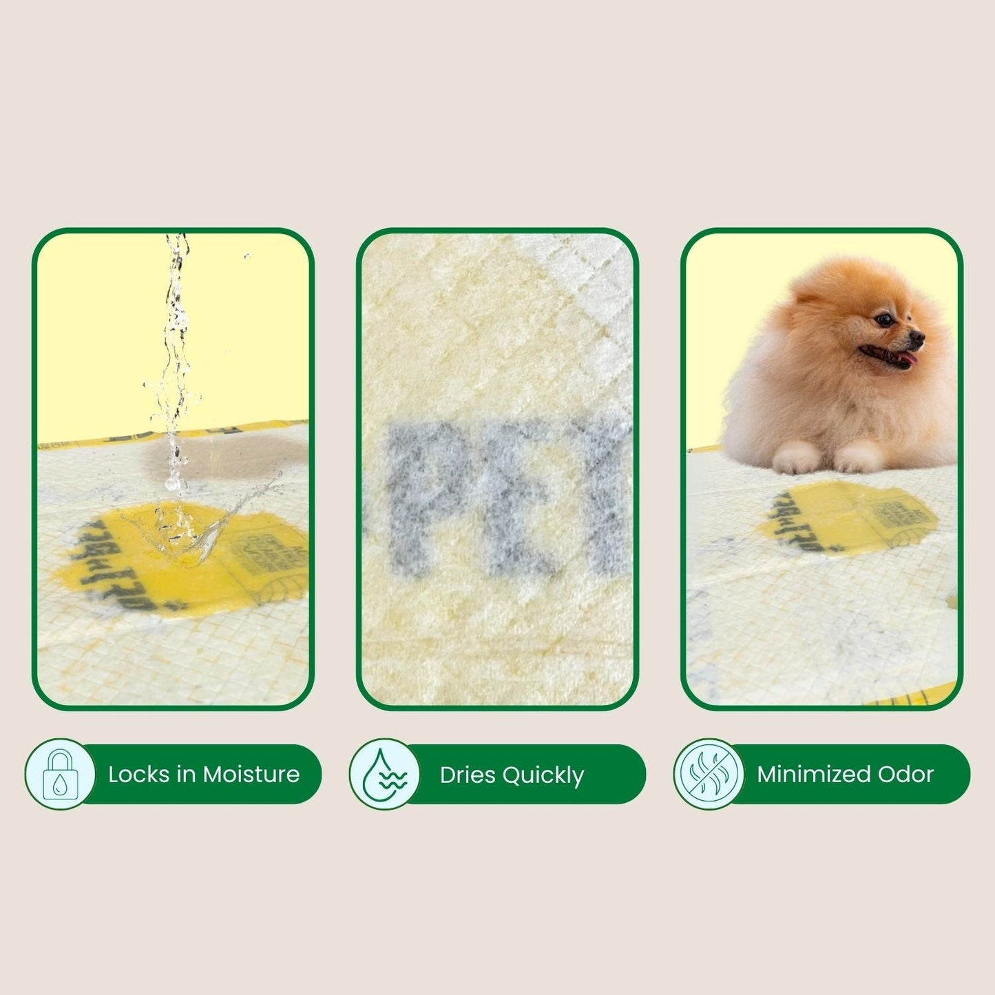 Pee Pads for Dogs Pee Pads Pet N Pet ®