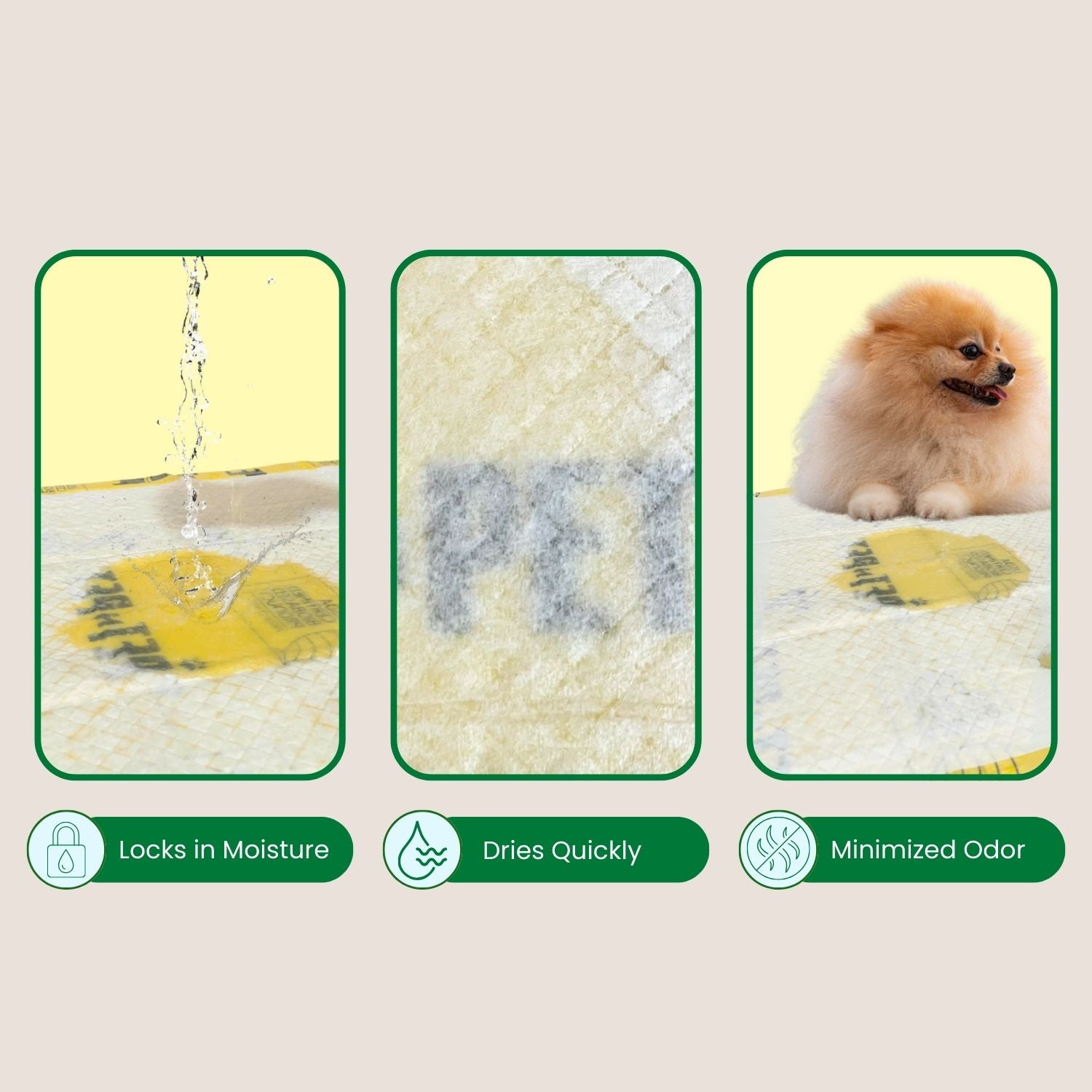 Pee Pads for Dogs Pee Pads Pet N Pet ®