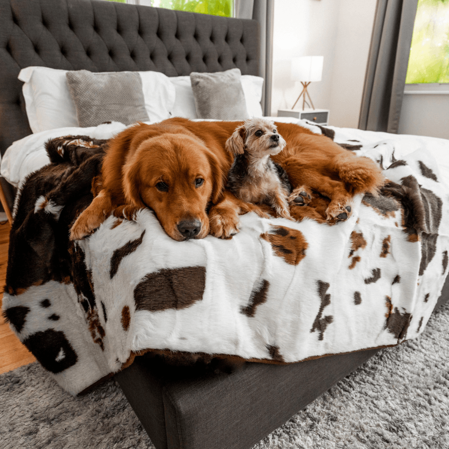 PupProtector™ Waterproof Throw Blanket - Brown Faux Cowhide Dog Blanket Paw.com