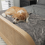 PupProtector™ Luxe Waterproof Bed Runner - Ultra Soft Chinchilla Dog Blanket Paw.com