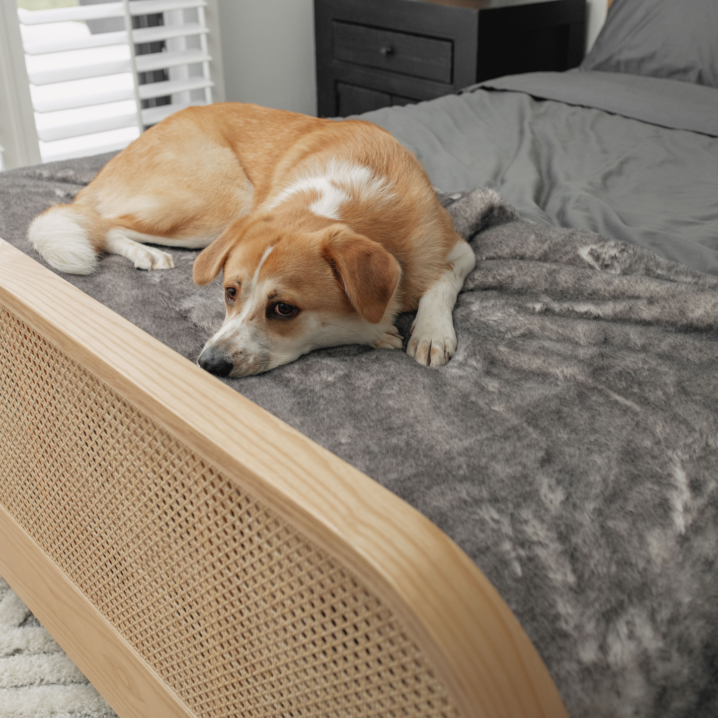 PupProtector™ Luxe Waterproof Bed Runner - Ultra Soft Chinchilla Dog Blanket Paw.com