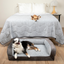PupChill™ Cooling Bolster Dog Bed + Waterproof Blanket Bundle - Arctic Grey Large Bed (35" L x 27" W) + Large Blanket (60" L x 82" W) Paw