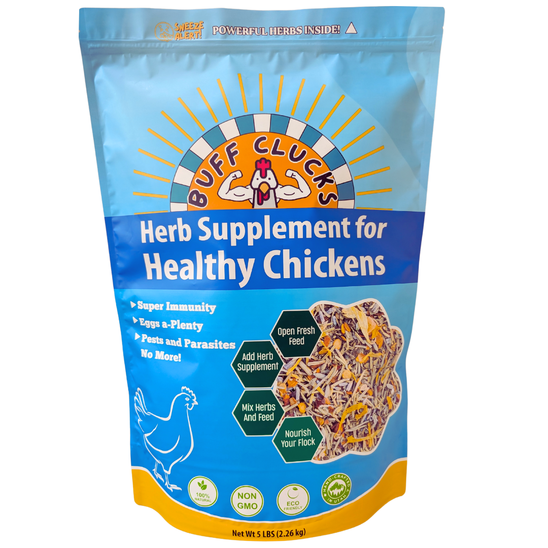 Herb Supplement For Backyard Chickens Chicken Treat Buff Clucks