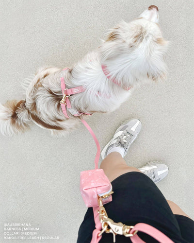 Coquette Pink Waste Bag Holder Pet Waste Bag Dispenser SUNNY TAILS