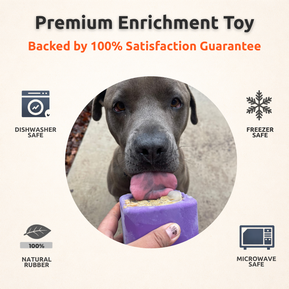 Freezbox - Super Tough Treat Toy Freezbone