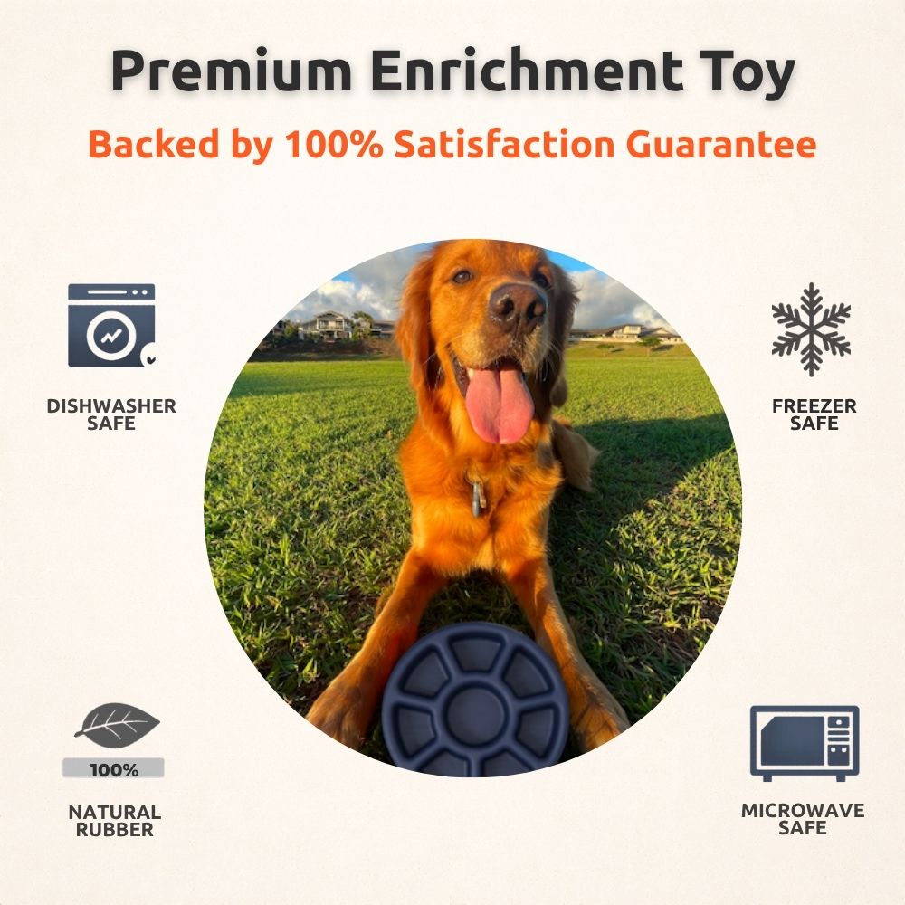 FreezWheel - Durable Interactive Chew Freezbone