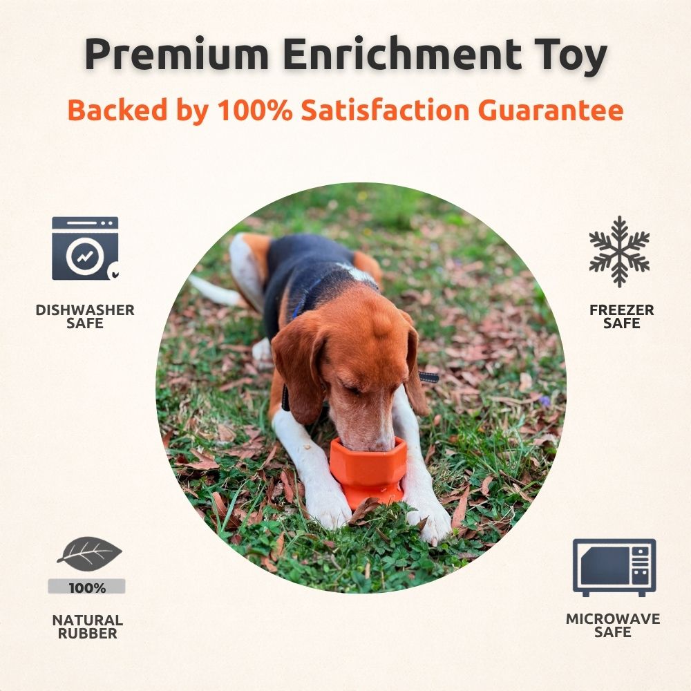 FreezCup - Long-Lasting Chew Fun Freezbone