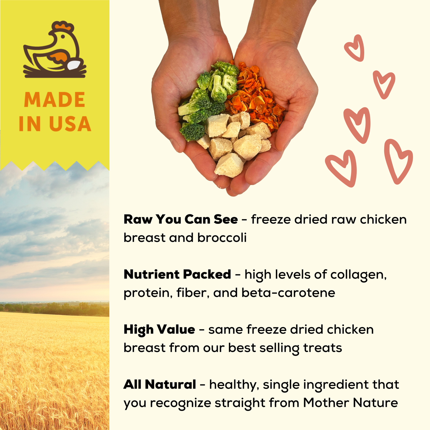 A Better Dog Food Chicken - Raw You Can See A Better Treat