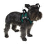 Removable Reflective Patches (Set of 2) Dog Harnesses Dogline