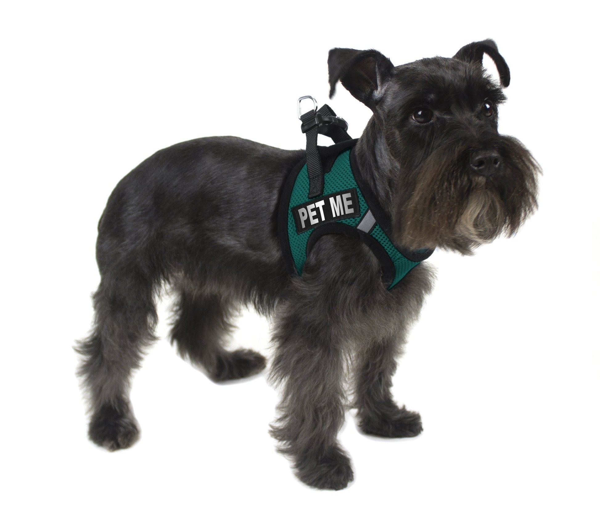 Removable Reflective Patches (Set of 2) Dog Harnesses Dogline