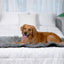 PupProtector™ Waterproof Bed Runner - Charcoal Grey Dog Blanket Paw.com