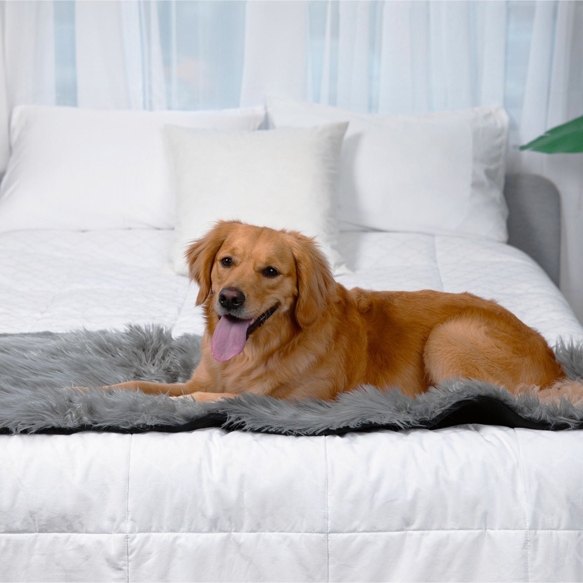 PupProtector™ Waterproof Bed Runner - Charcoal Grey Dog Blanket Paw.com