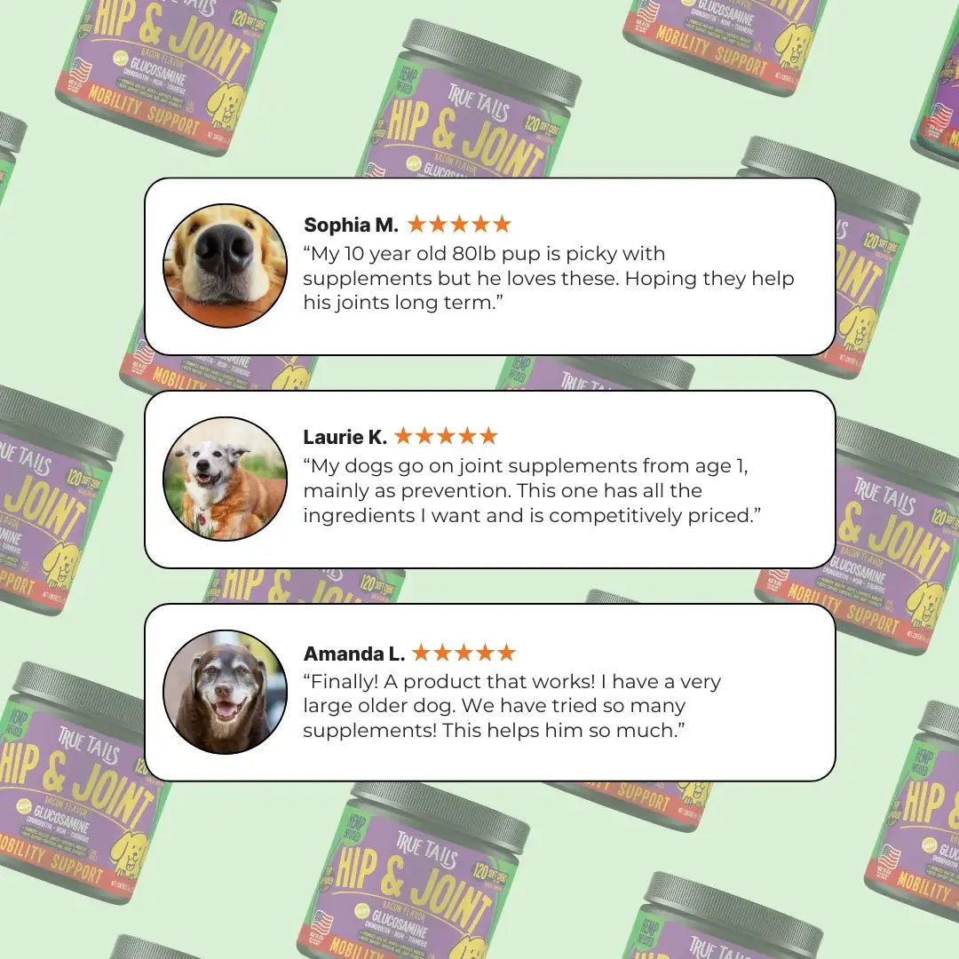 Hip & Joint With Hemp For Dogs 9oz Jar (120 count) Dog Soft Chews Dogline