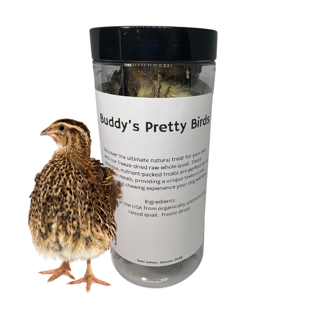 Bird Dog Training Quail - Premium Freeze-Dried Whole Quail for Dogs 5ct, Large (Chick) - Natural Prey Feeding Quality Protein Pet Treats Default Title Dog Treats Quailz.com by Undique LLC