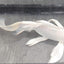 Butterfly koi KOI Danaqua Live Fish & More