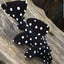 Galaxy Pleco Danaqua Live Fish & More