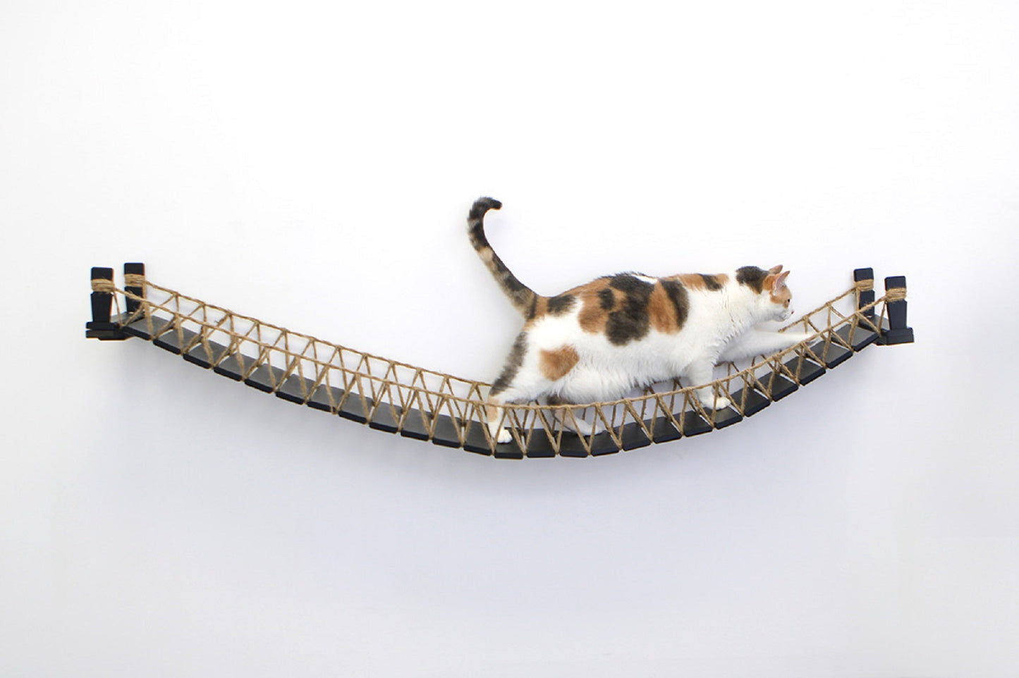 Cat Bridge for Wall Onyx Bamboo 66" Cat Bridge Catastrophic Creations