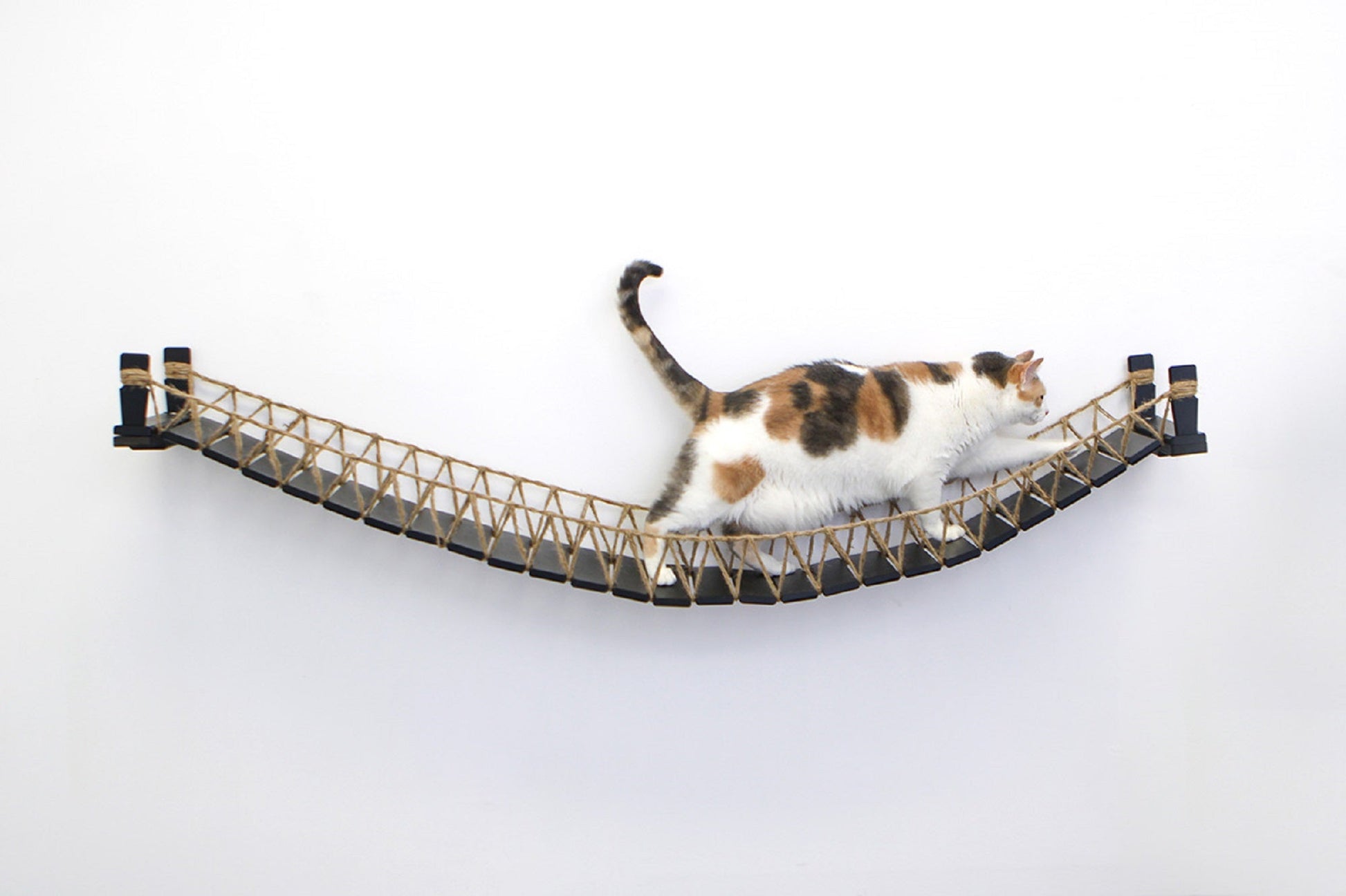 Cat Bridge for Wall Onyx Bamboo 66" Cat Bridge Catastrophic Creations