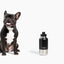 Pup Pak Dog Water Bottle with Detachable Bowls Pup Pak