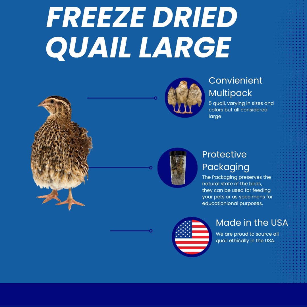 Bird Dog Training Quail - Premium Freeze-Dried Whole Quail for Dogs 5ct, Large (Chick) - Natural Prey Feeding Quality Protein Pet Treats Dog Treats Quailz.com by Undique LLC