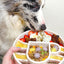 Java eBowl Deep Slow Feeder Dog Bowl for Enrichment | USA Made
